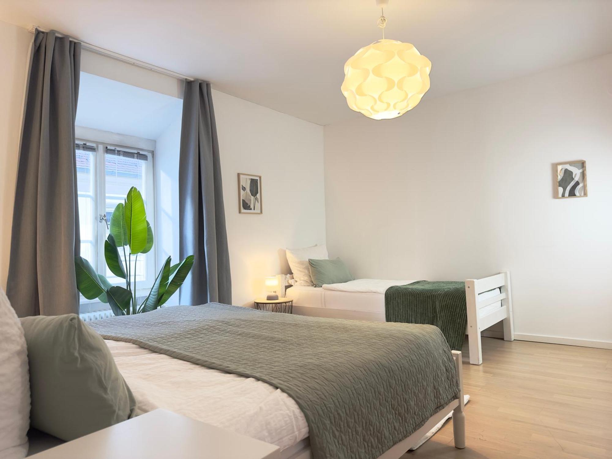 Luxury Old Town - Xxl Terrasse & Xxl Penthouse Apartment Heidelberg